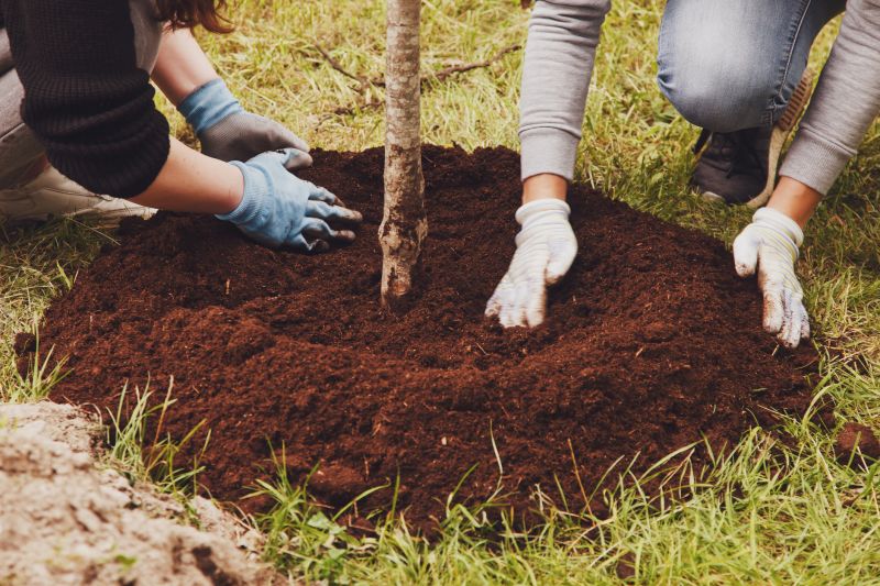 Local Herb Transplanting pros at work