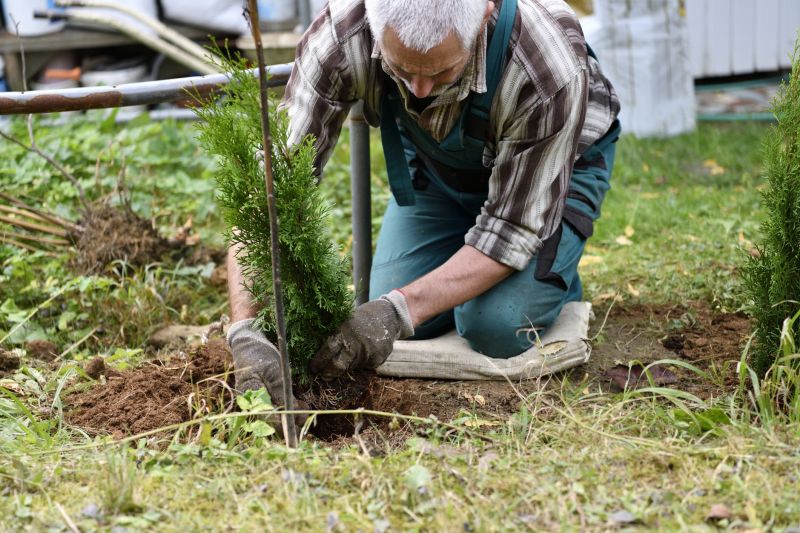 Herb Transplanting detail