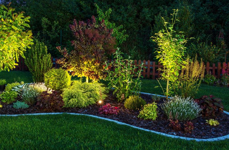 Tree Curbing Installation in Citrus County, FL